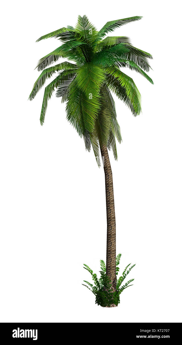 3d palm hi-res stock photography and images - Alamy