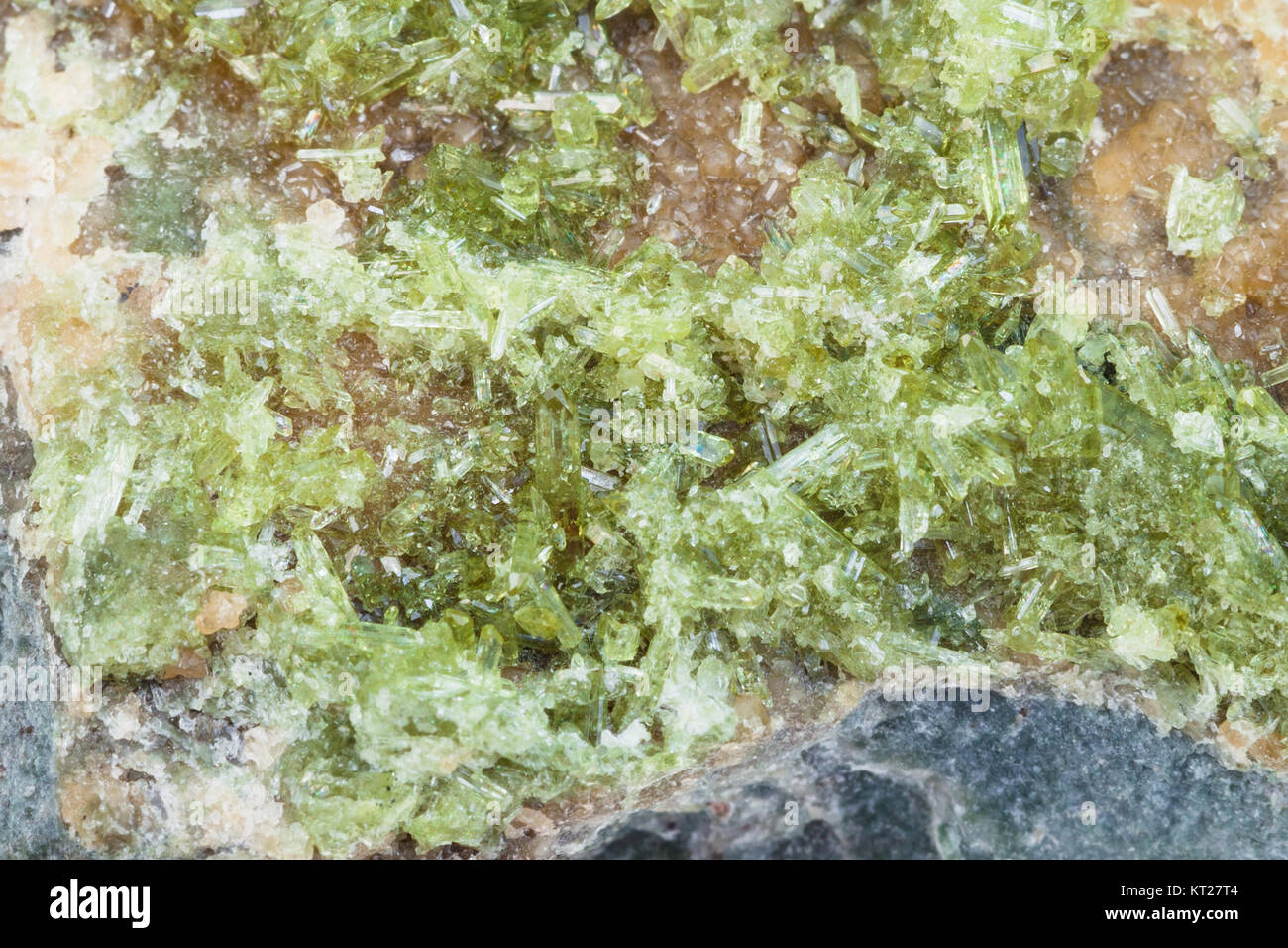 crystals of Vesuvianite on rock surface Stock Photo
