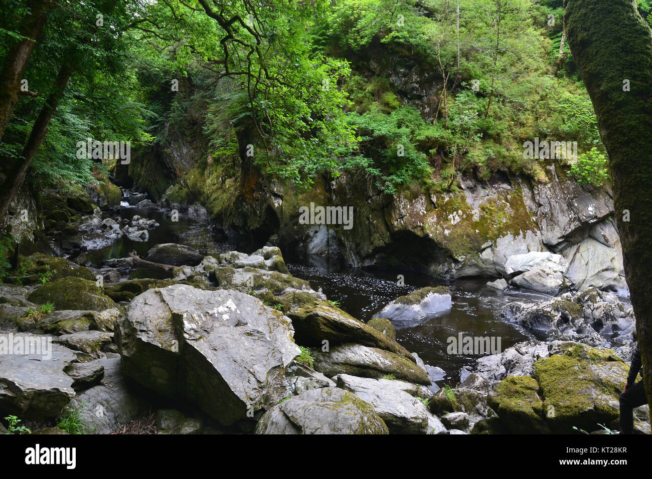Fairy Glen BetwsyCoed, Conwy Valley, Snowdonia, Wales, UK