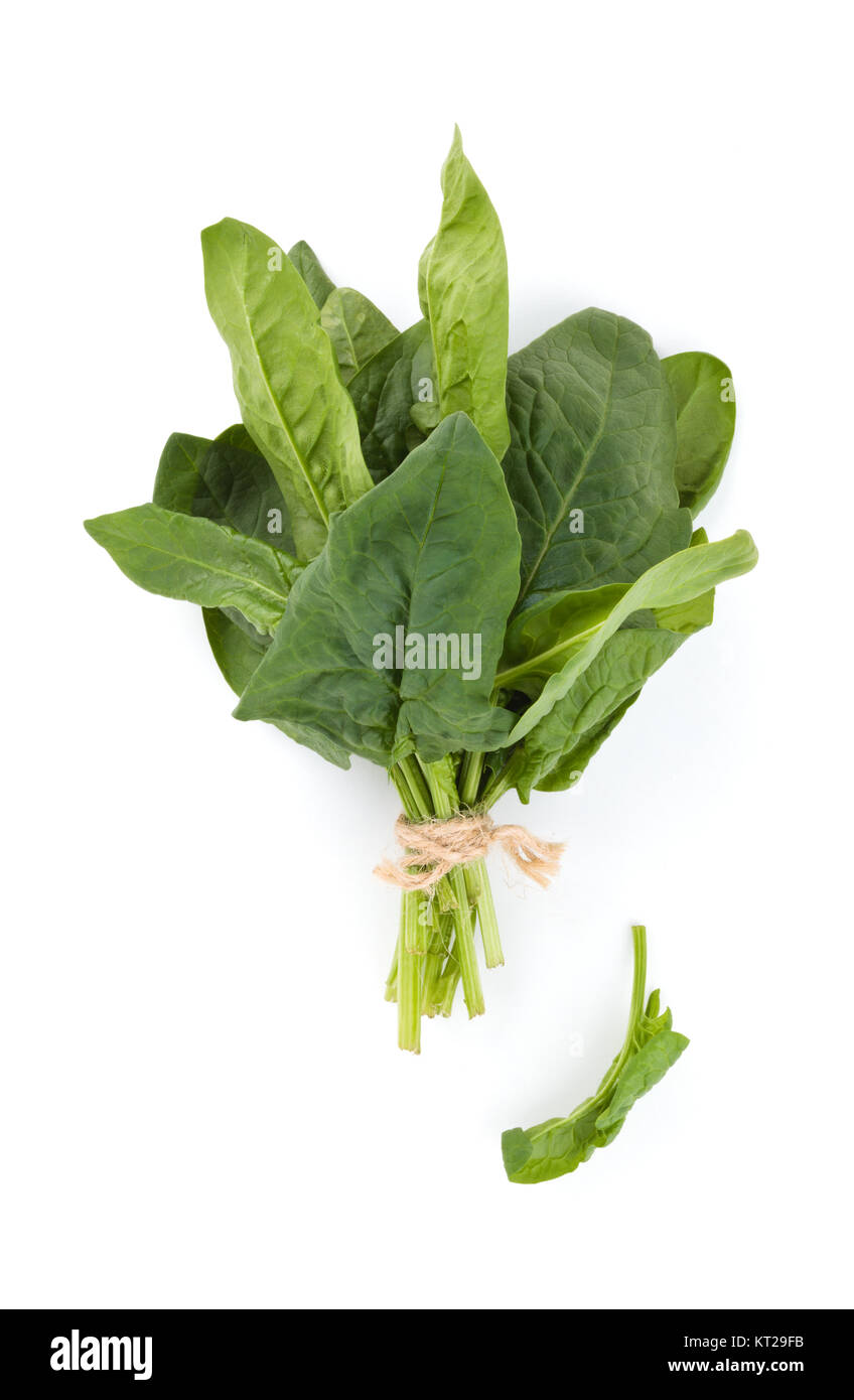 Fresh spinach leaves Stock Photo - Alamy
