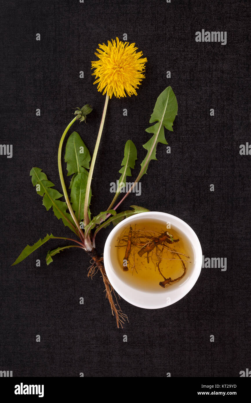 Dandelion root tea Stock Photo - Alamy