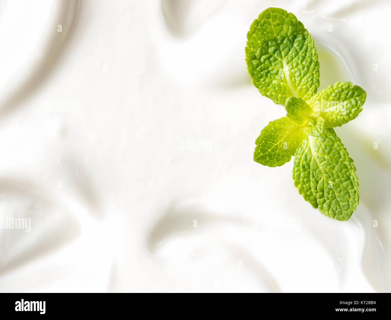 greek yogurt or sour cream texture Stock Photo Alamy