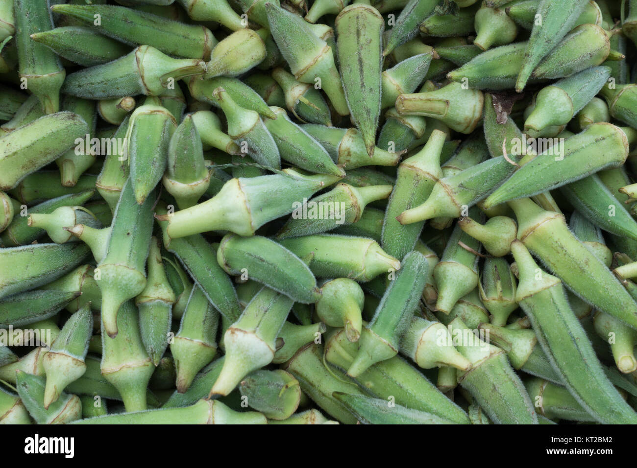 Organic Ripe Okras on Market Stall Stock Photo Alamy