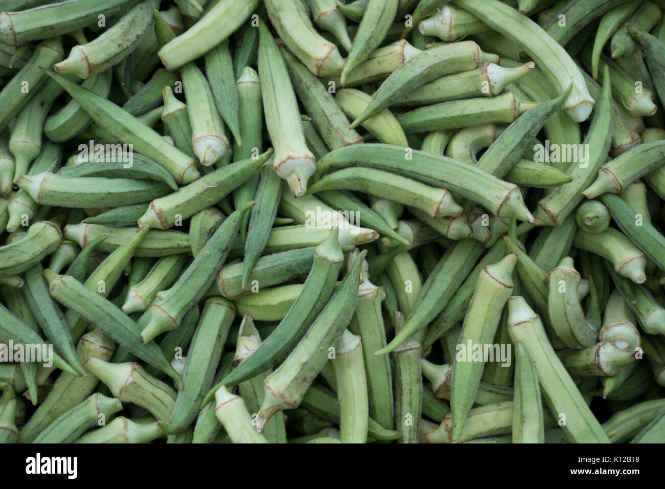 Organic Ripe Okras on Market Stall Stock Photo Alamy