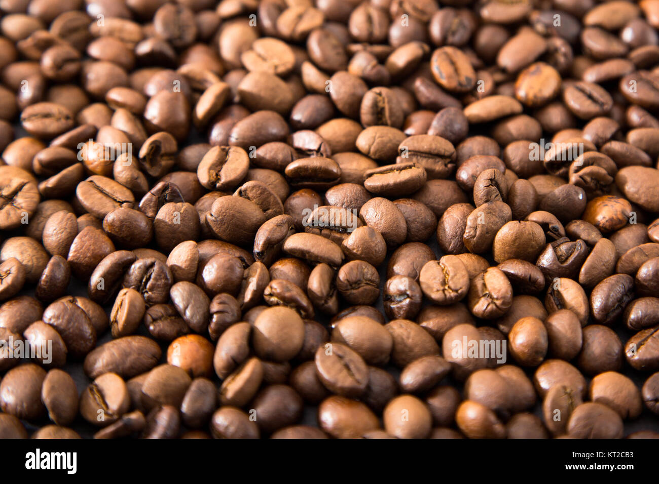 coffee beans with spices. coffee beans, star anise, cinnamon stick and brown sugar Stock Photo