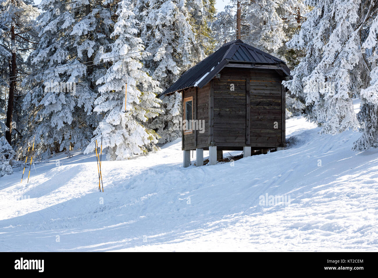 Log Cabin Shelter Is Among Snow Covered Pines In The Winter Stock