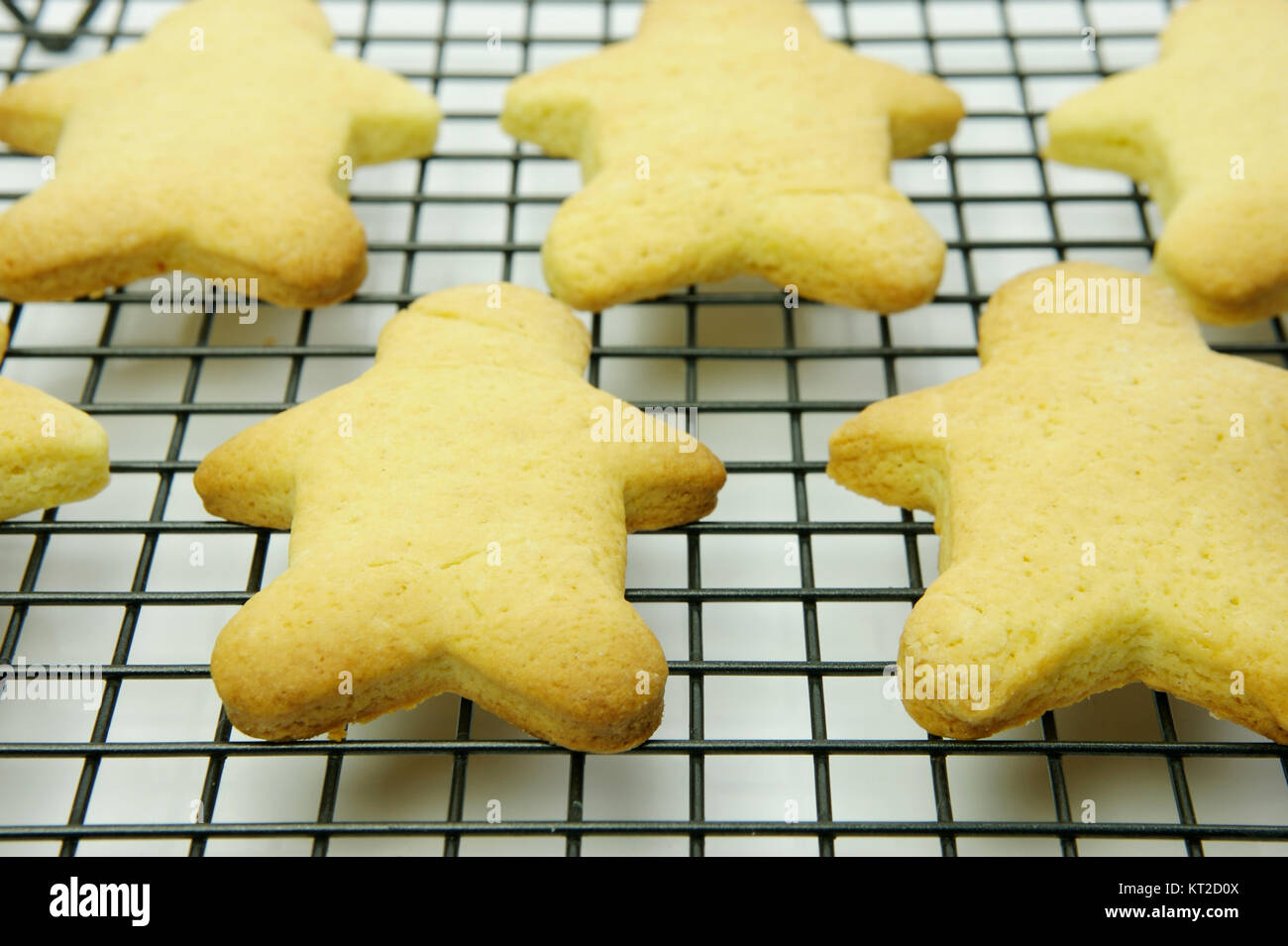 Cookies on a cooling rack isolated against a white background Stock