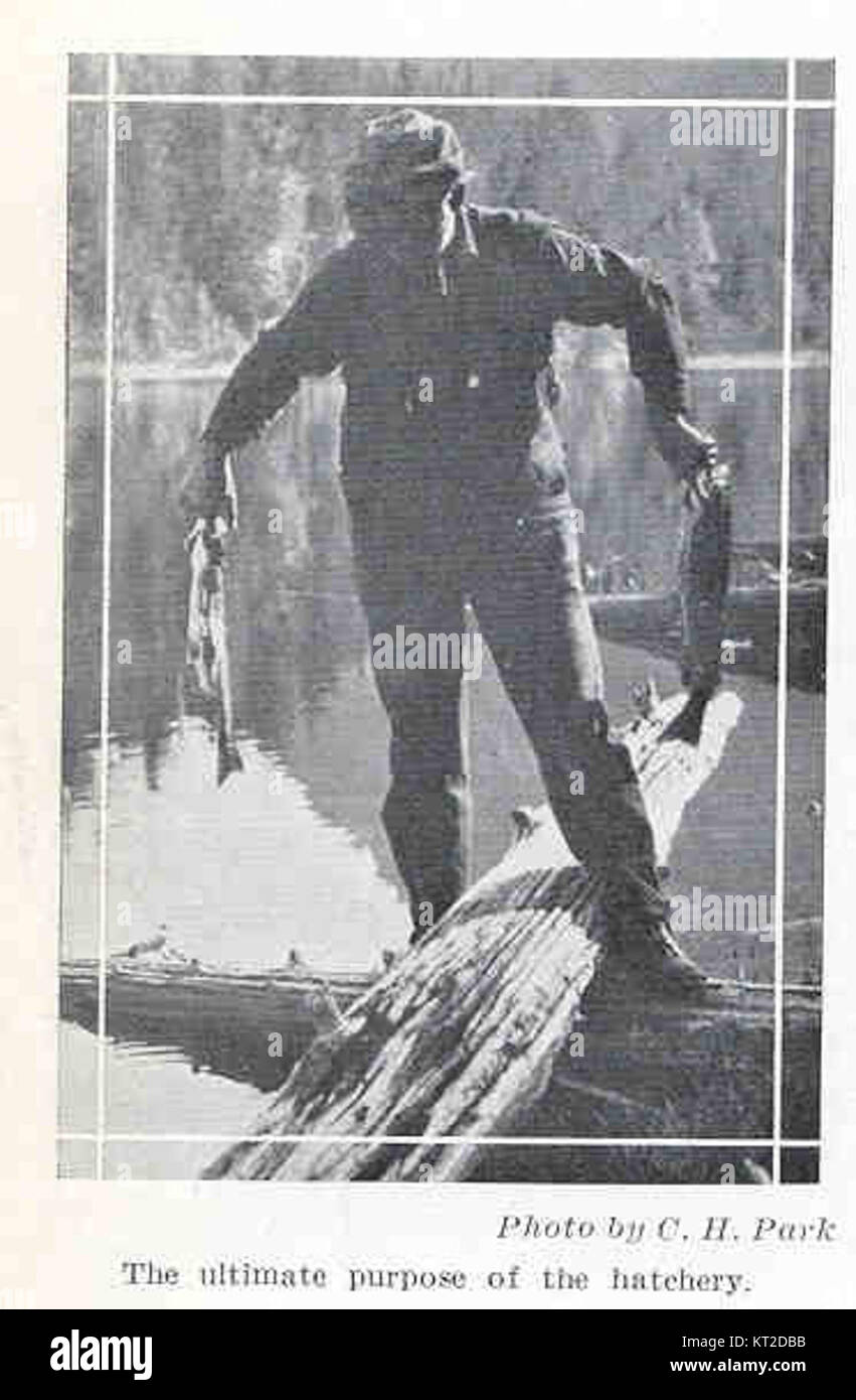 33184 Ultimate Purpose of the Hatchery Stock Photo Alamy