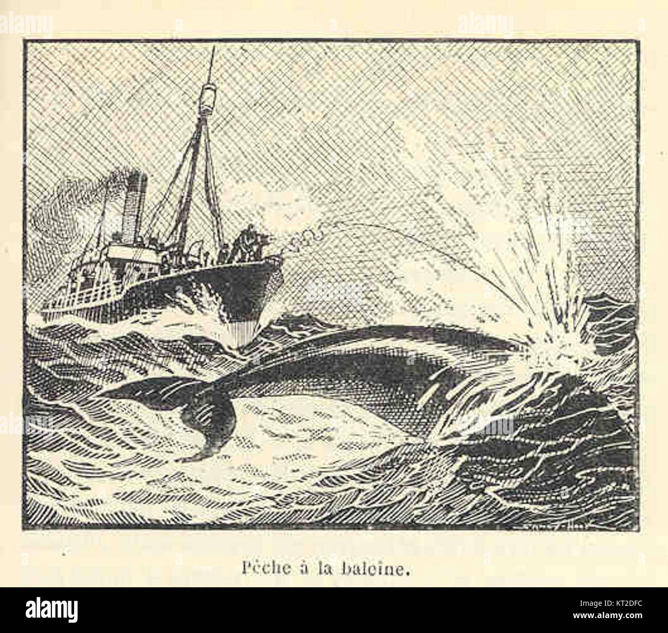 My Image 31