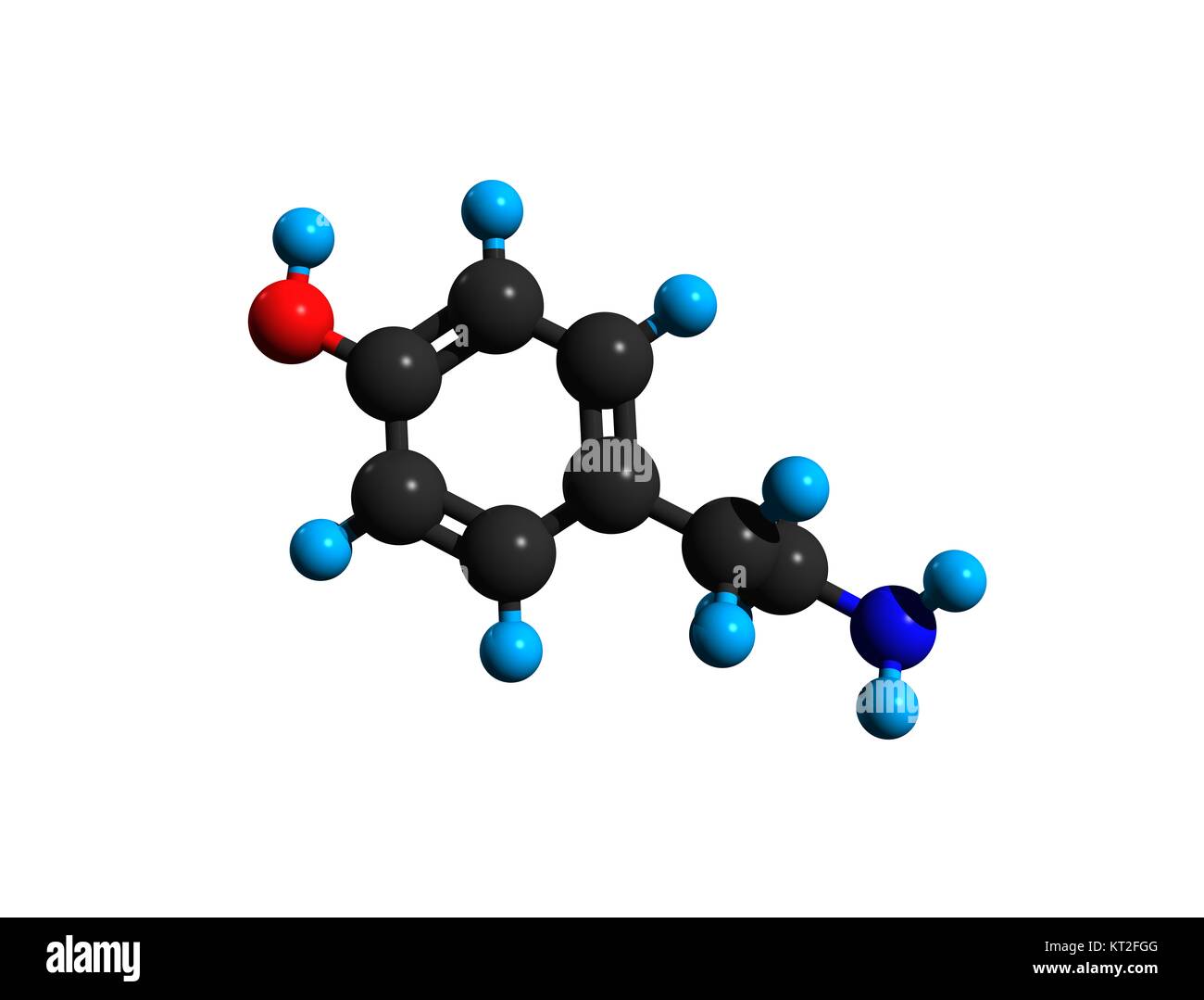 Molecule Of Tyramine A Trace Amine 3d Rendering Stock Photo Alamy Molecule Of Tyramine A Trace Amine 3d Rendering Stock Photo Alamy