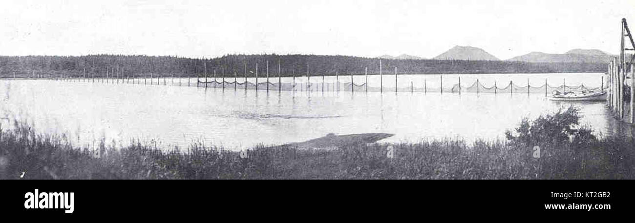 This image depicts a salmon rack across the Wood River in Alaska ...