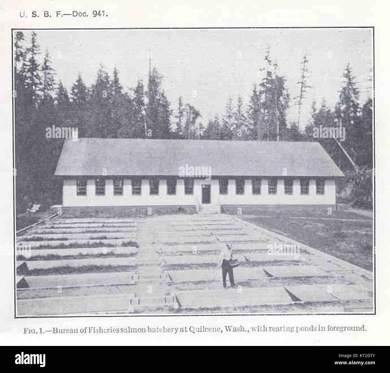 Quilcene hires stock photography and images Alamy