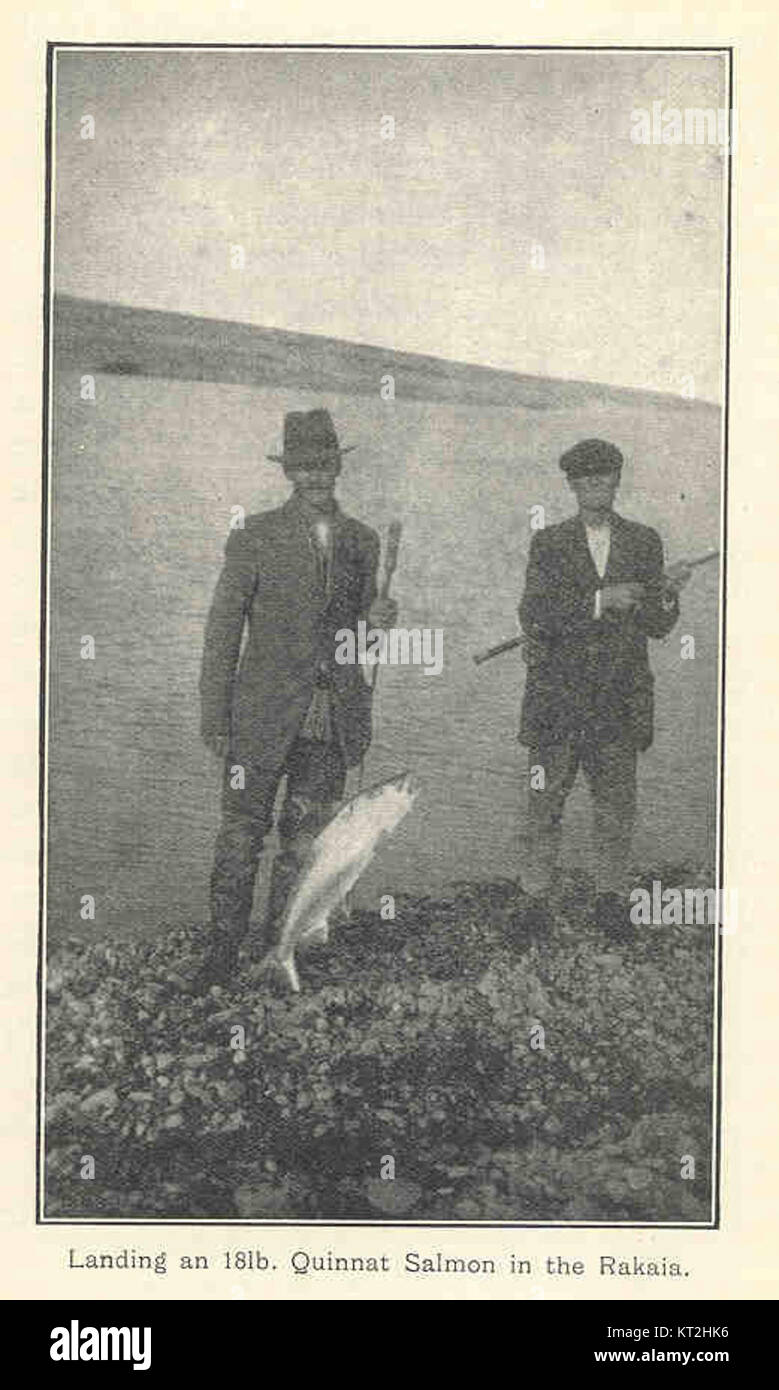 35270 Landing an 18lb Quinnat Salmon in the Rakaia Stock Photo Alamy
