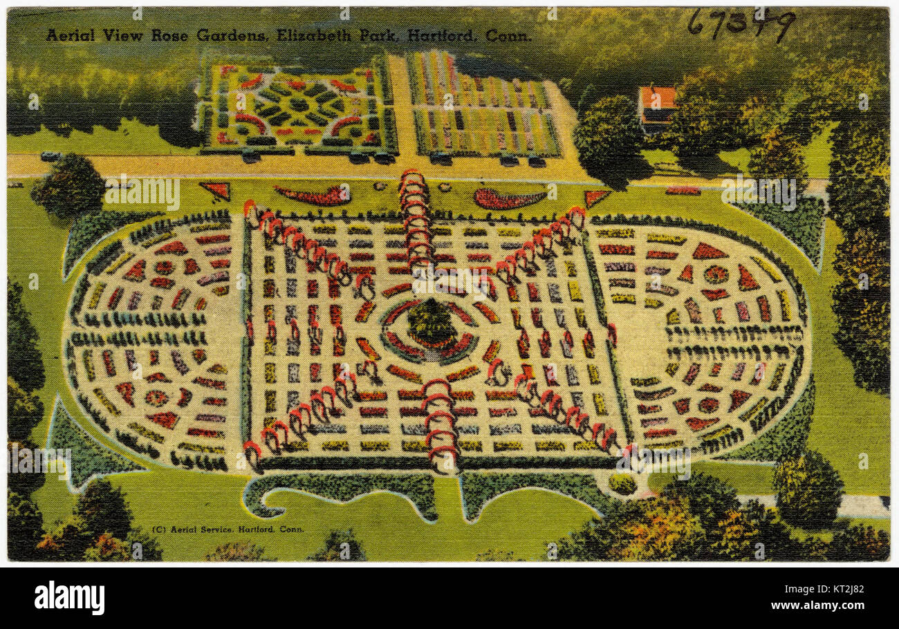 An aerial view of the rose gardens in Elizabeth Park, Hartford, Connecticut, showcasing the lush garden landscape. The park is known for its well-maintained botanical gardens and historical significance. Stock Photo
