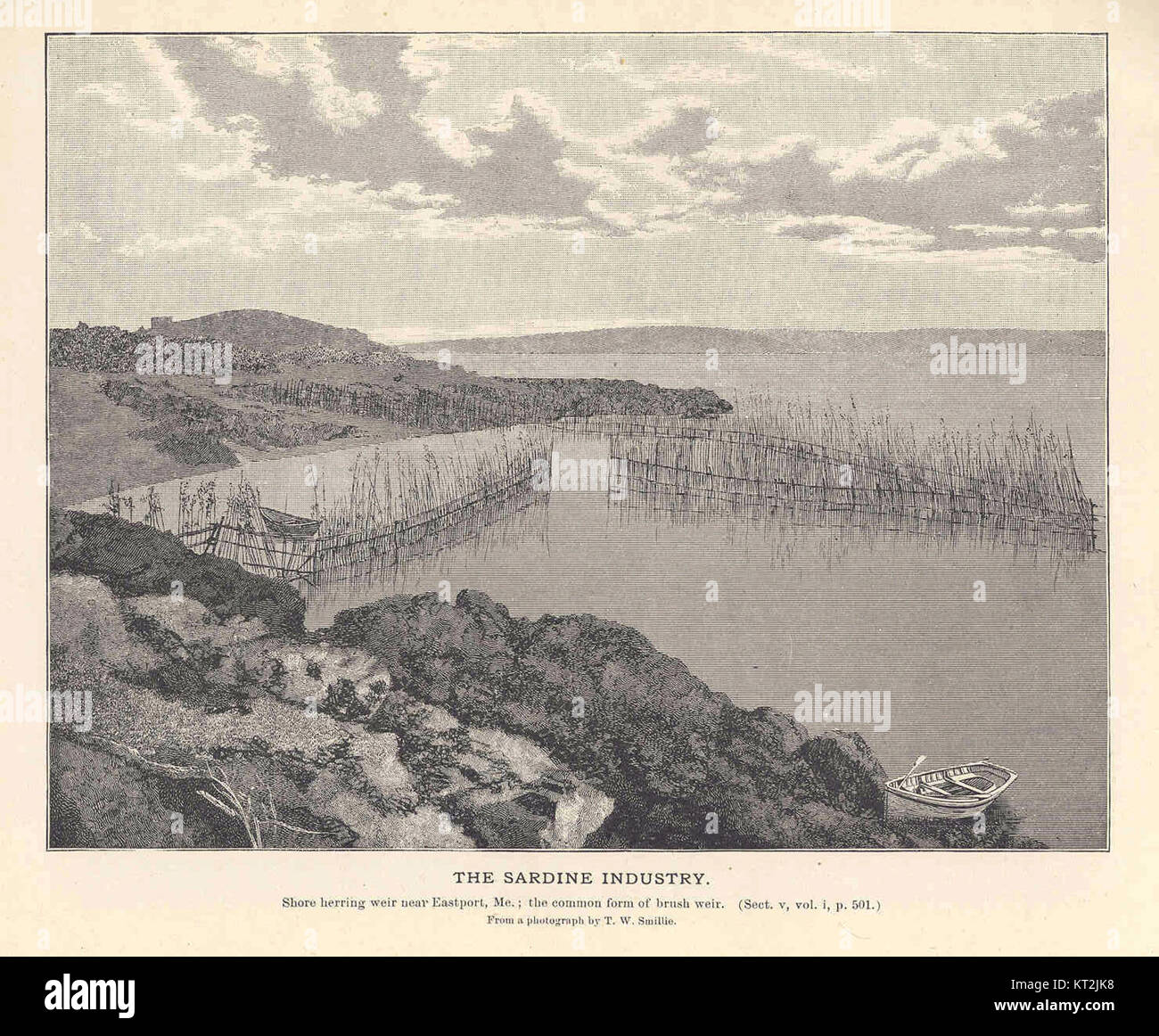 35831 Sardine Industry Stock Photo Alamy