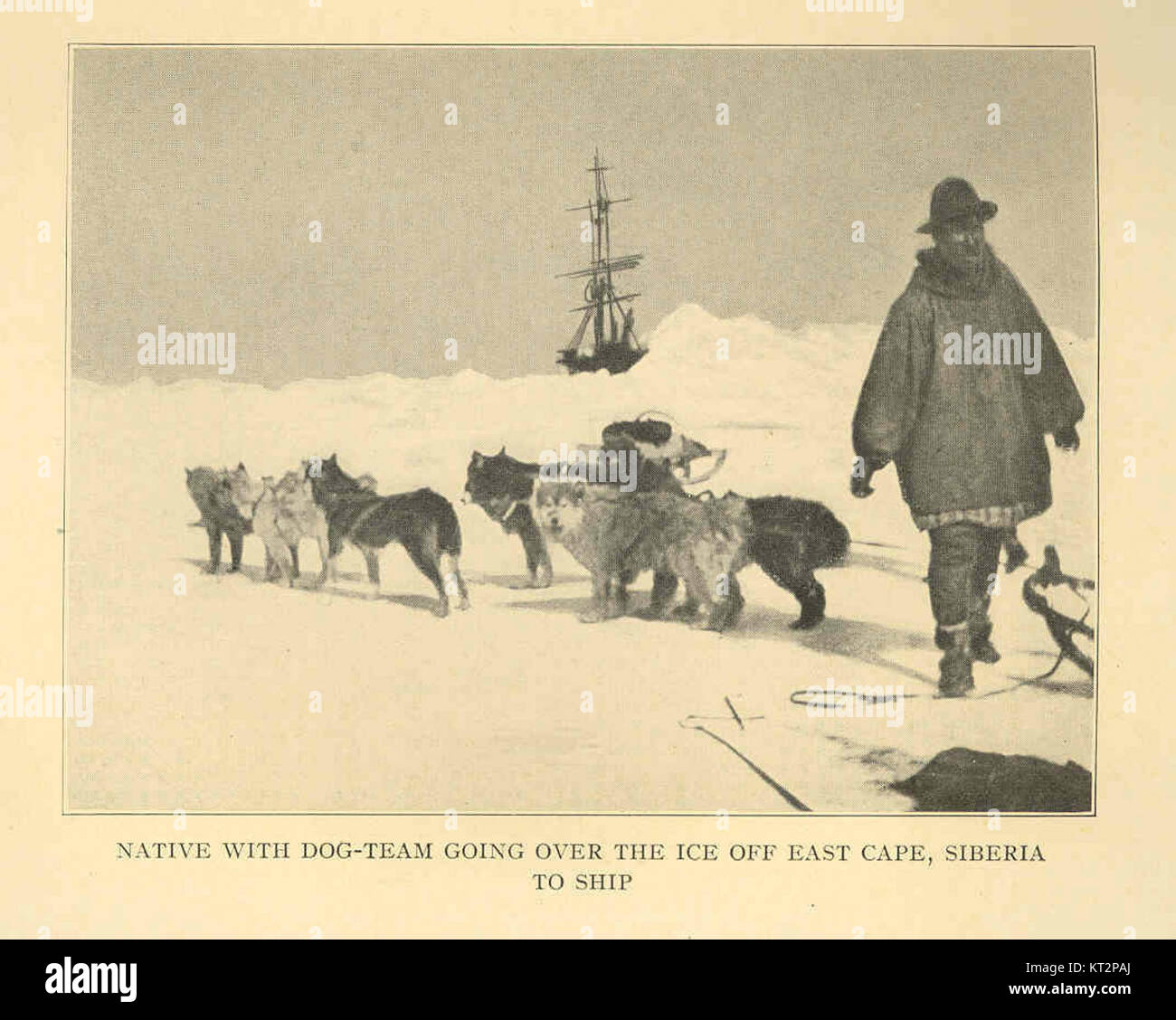 This image depicts a native Siberian person guiding a dog-team across the ice near the East Cape of Siberia, heading toward a ship. The photo captures the harsh environment and traditional transportation methods. Stock Photo