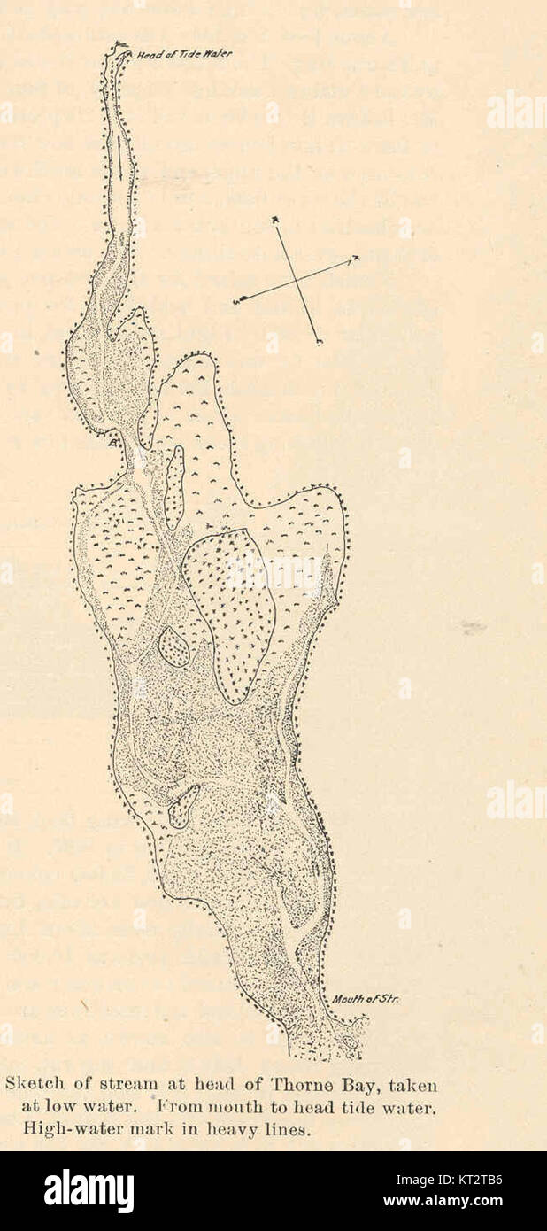 38782 Sketch of Stream at head of Thorne Bay, taken at low water From mouth to head tide water