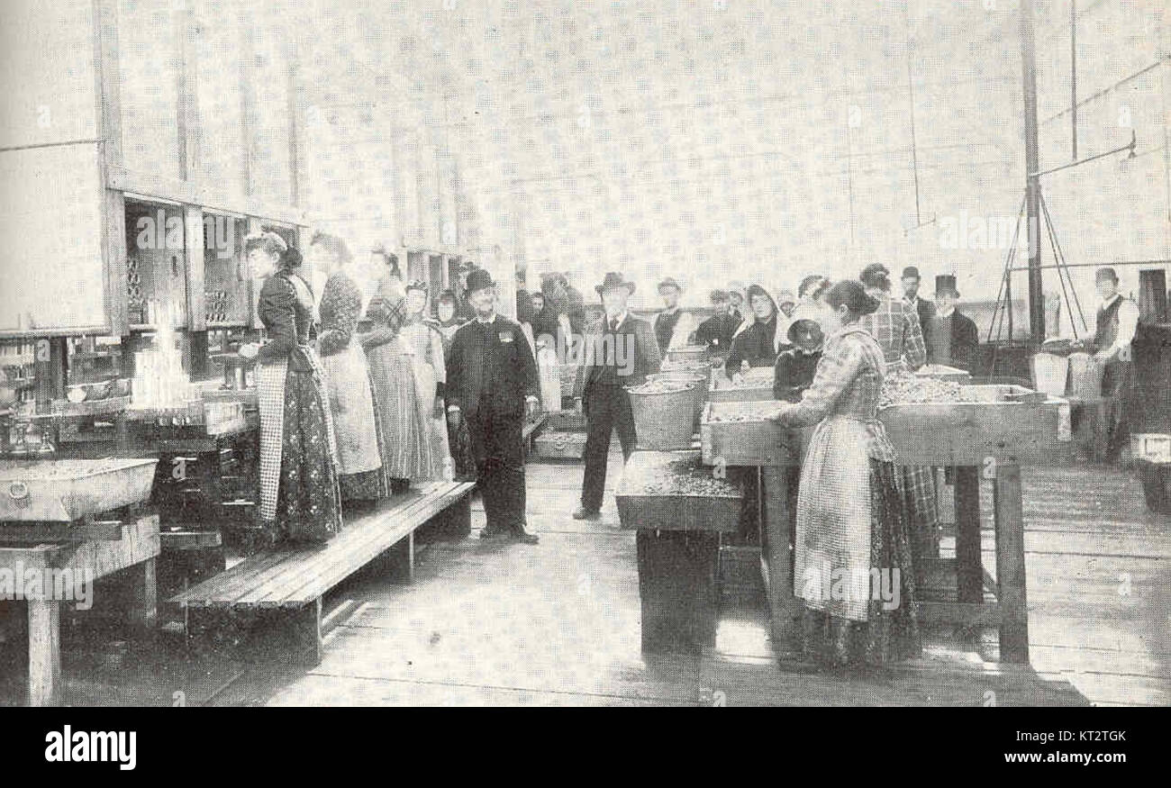 38898 Interior of Baltimore OysterCanning House; Washing, Assorting