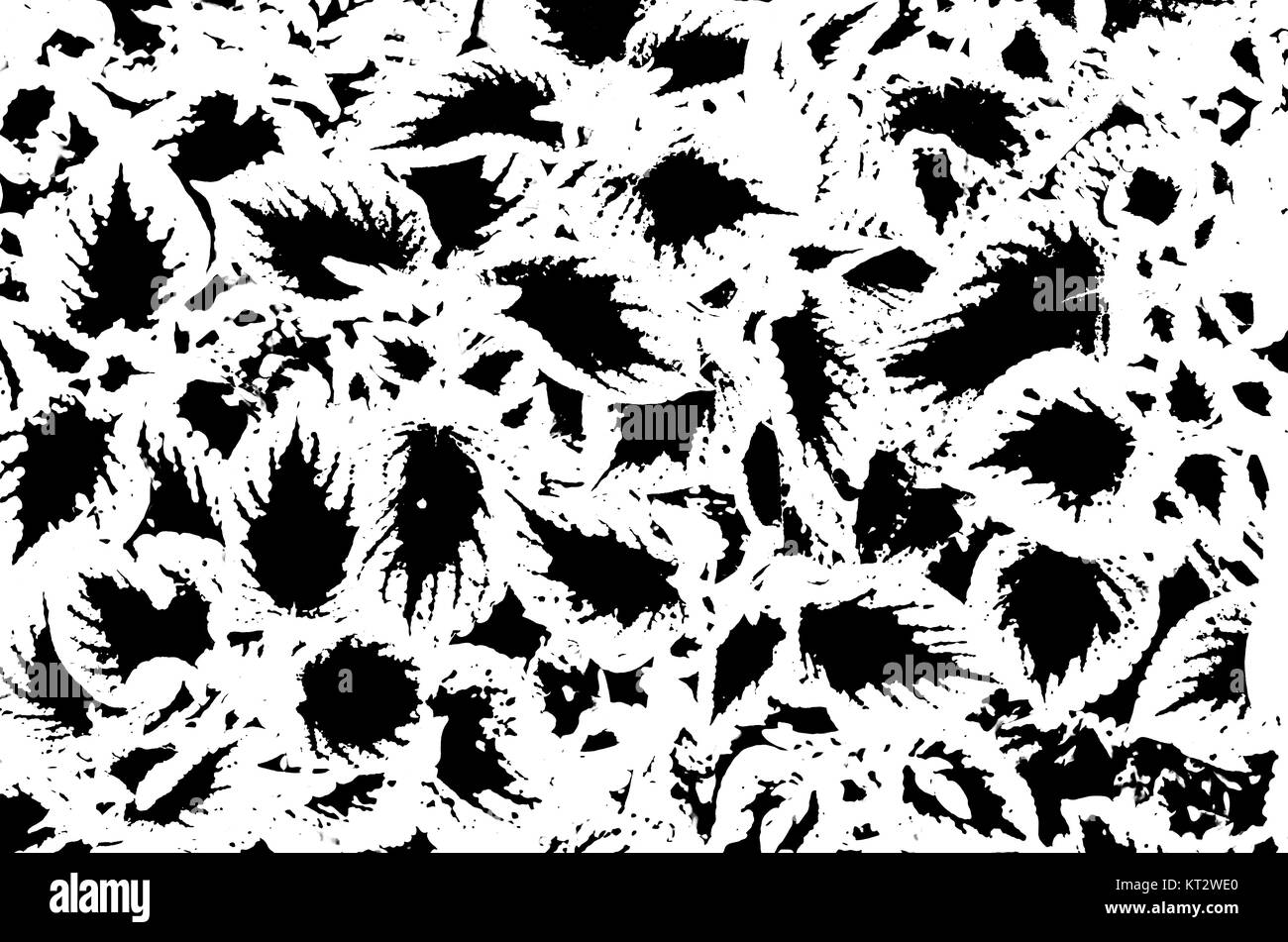 Black and white abstract pattern Stock Photo - Alamy