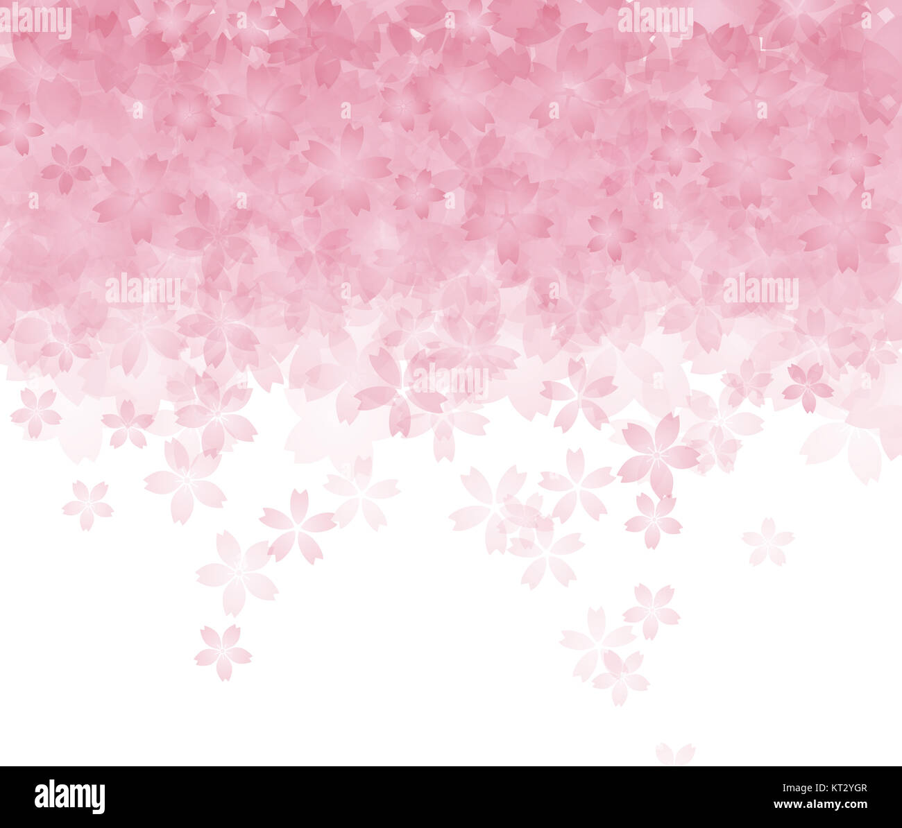 Cherry blossom background image Stock Photo