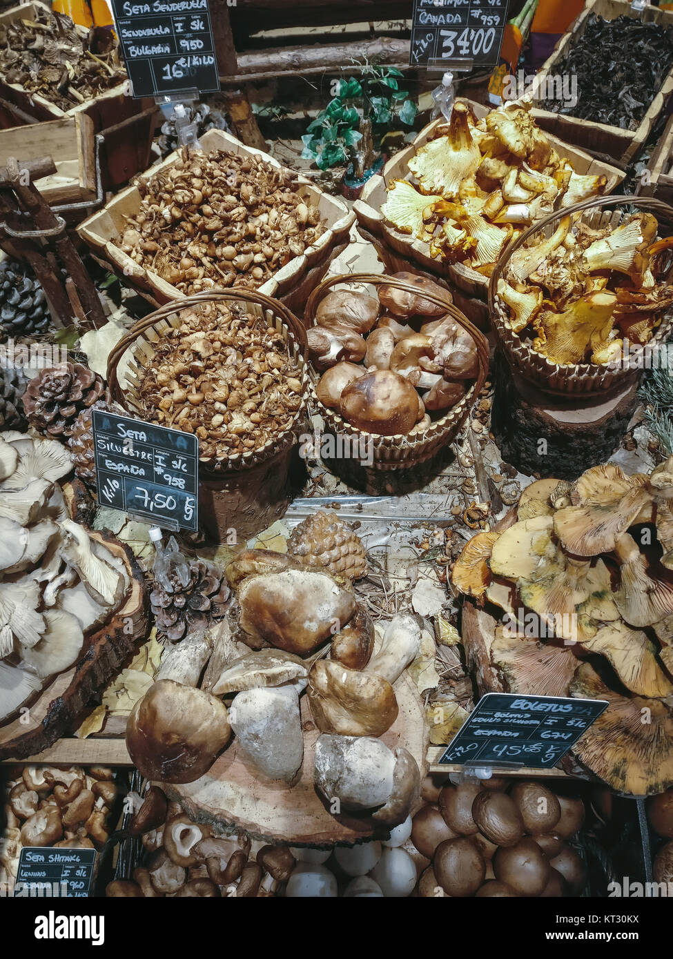 Many different edible mushrooms in baskets on food market. Gourmet food. Autumn Mushrooms. Stock Photo