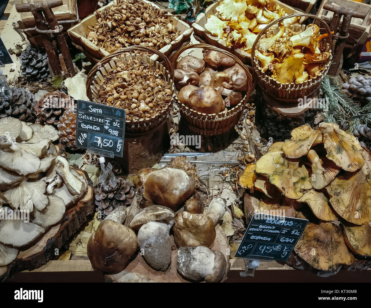 Many different edible mushrooms in baskets on food market. Gourmet food. Autumn Mushrooms. Stock Photo