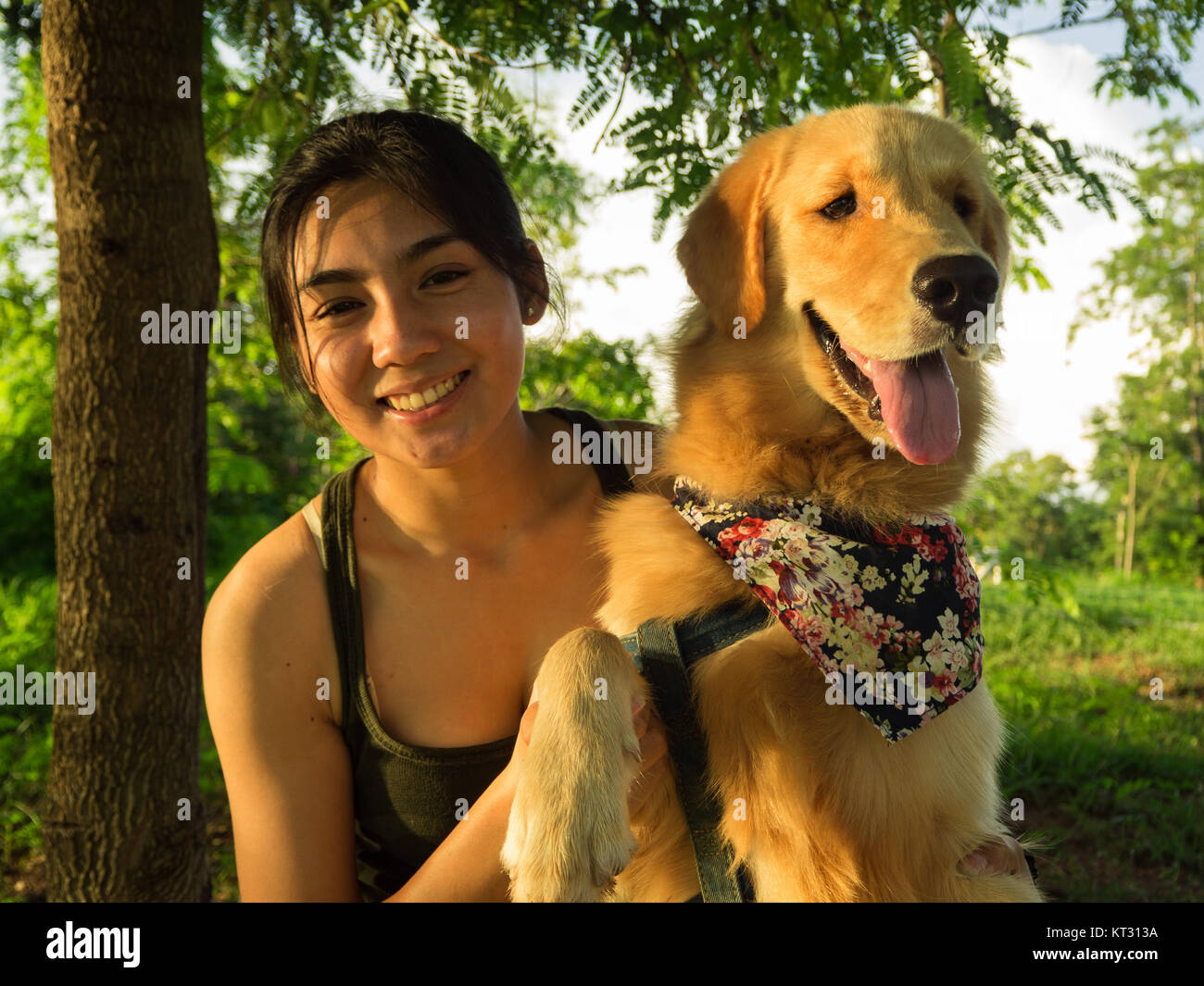 Golden retriever and Asian woman are playing in the park Stock Photo ...