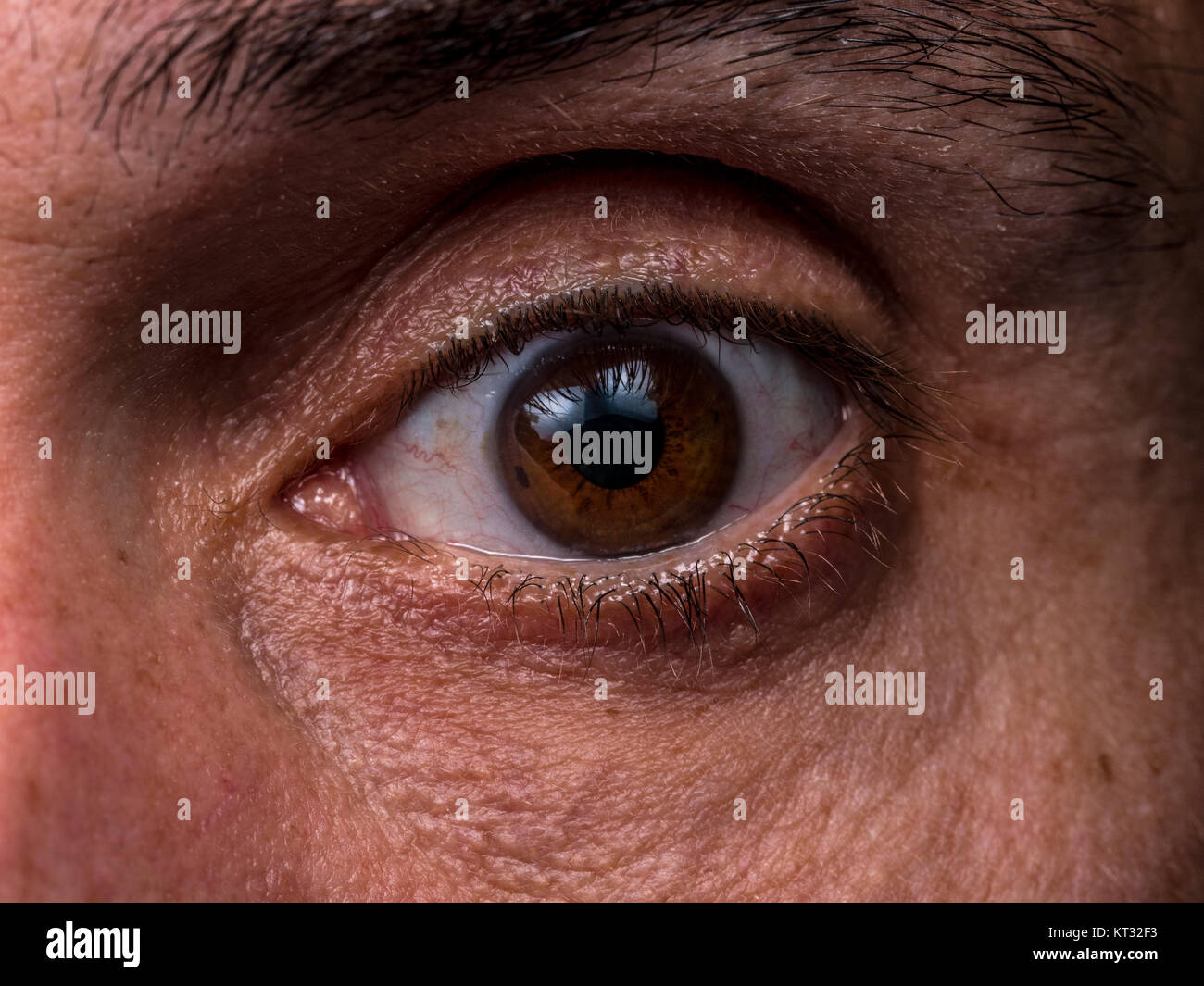 Man's eye Stock Photo