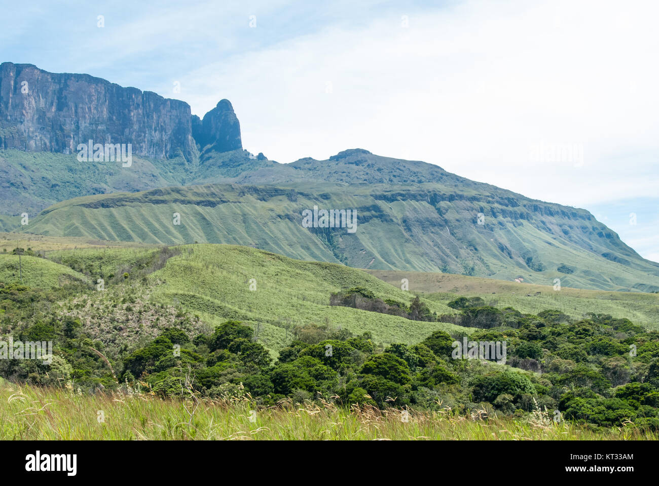 Roraima Tepui, Gran Sabana, Venezuela Stock Photo - Alamy