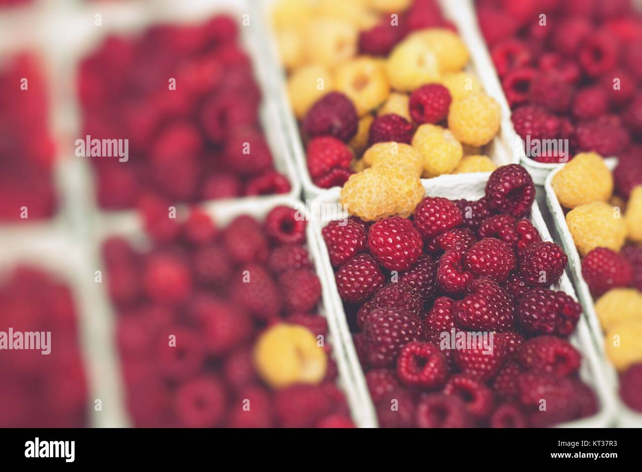 Red and yellow raspberries in boxes at local farm market Stock Photo ...