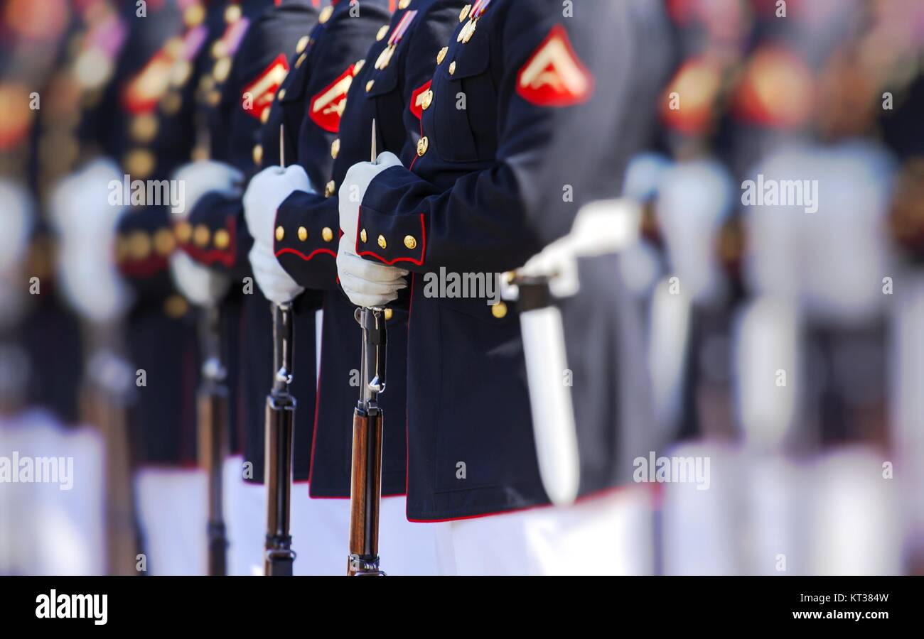 United States Marine Corps Stock Photo