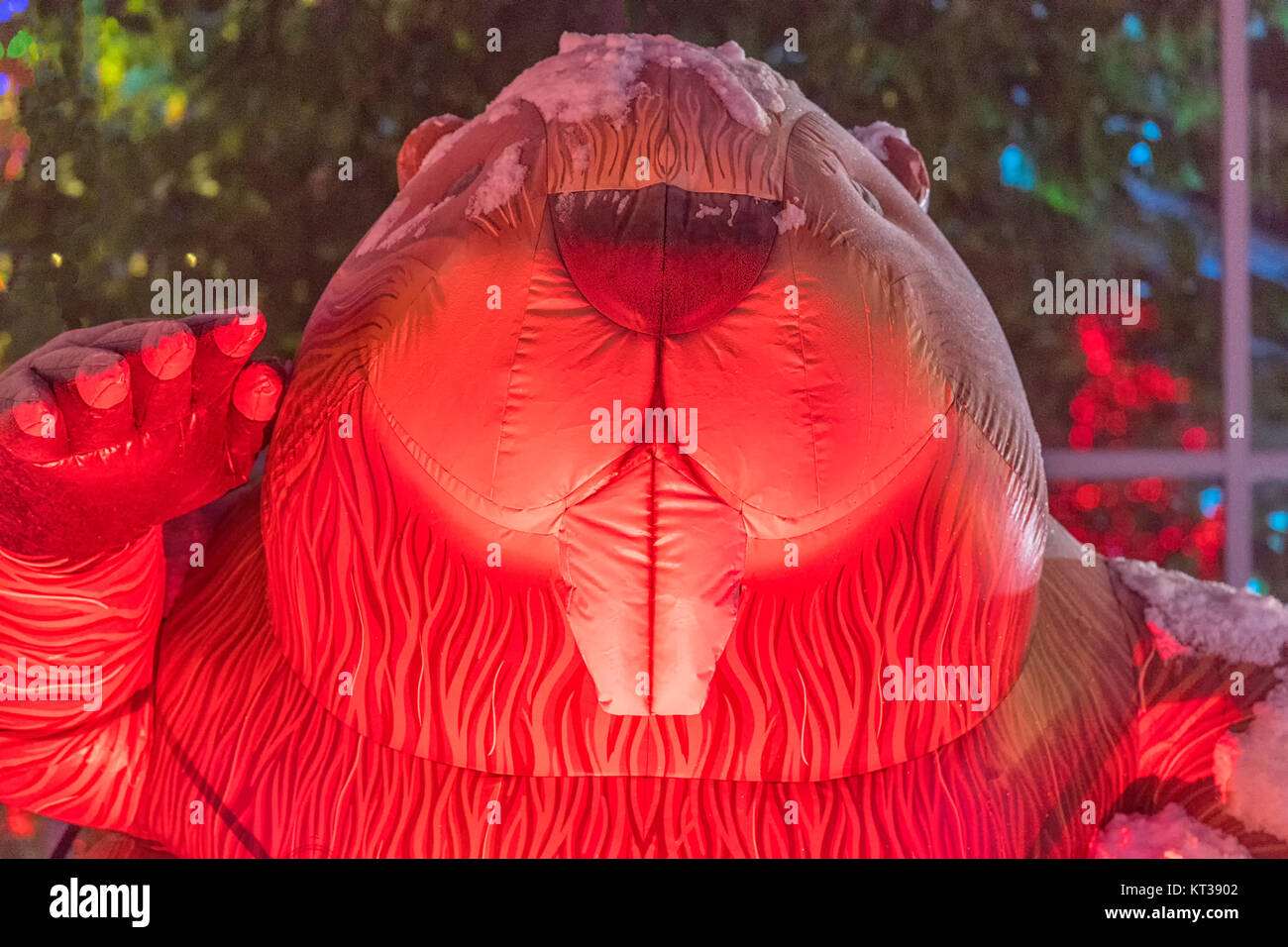 Inflated giant beaver display at the Calgary Zoo's winter Zoolight ...