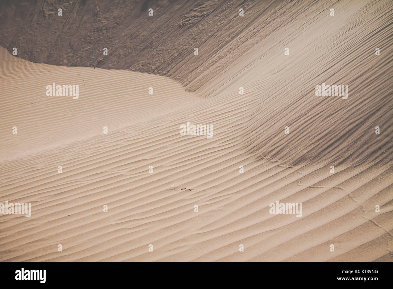 Sand dunes in the Sahara Desert, Morocco Stock Photo - Alamy