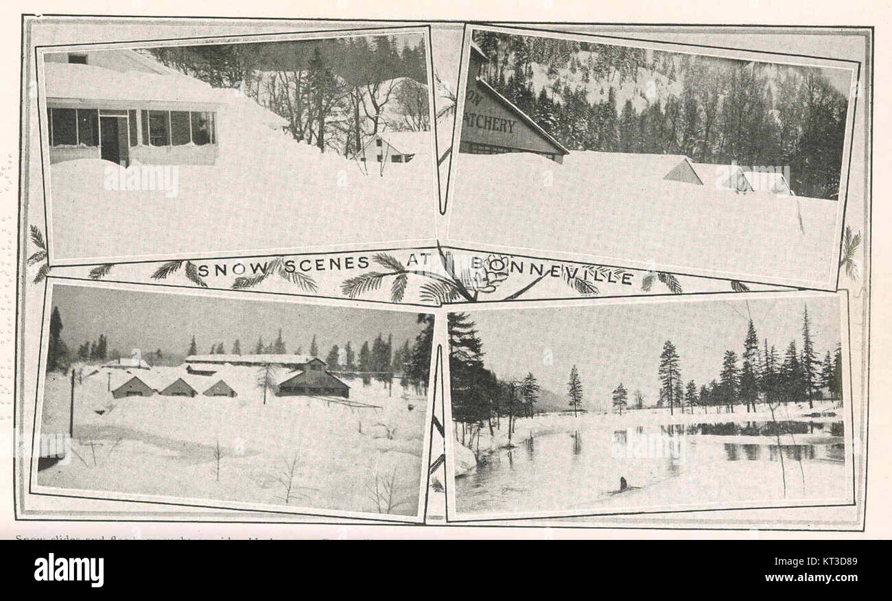 41527 Snow slides and floods wrought considerable havoc at Bonneville last winter Portions of the flume supplying water to the Stock Photo