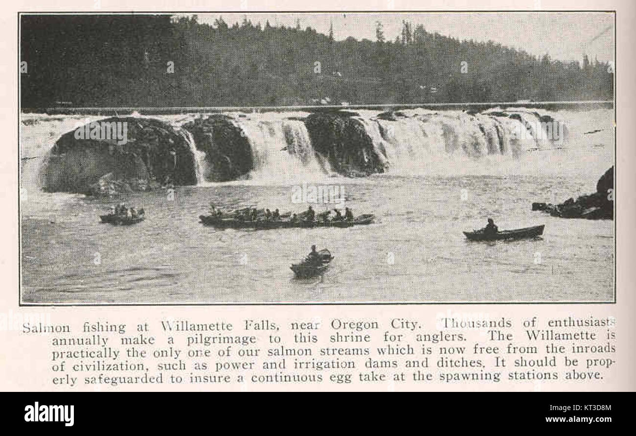 41532 Salmon fishing at Willamette Falls, near Oregon City Thousands of enthusiasts annually make a pilgrimate to this shrine for Stock Photo