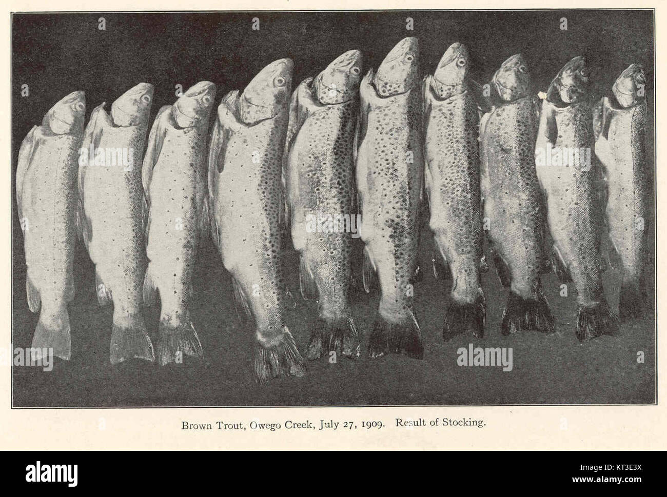 42081 hires stock photography and images Alamy