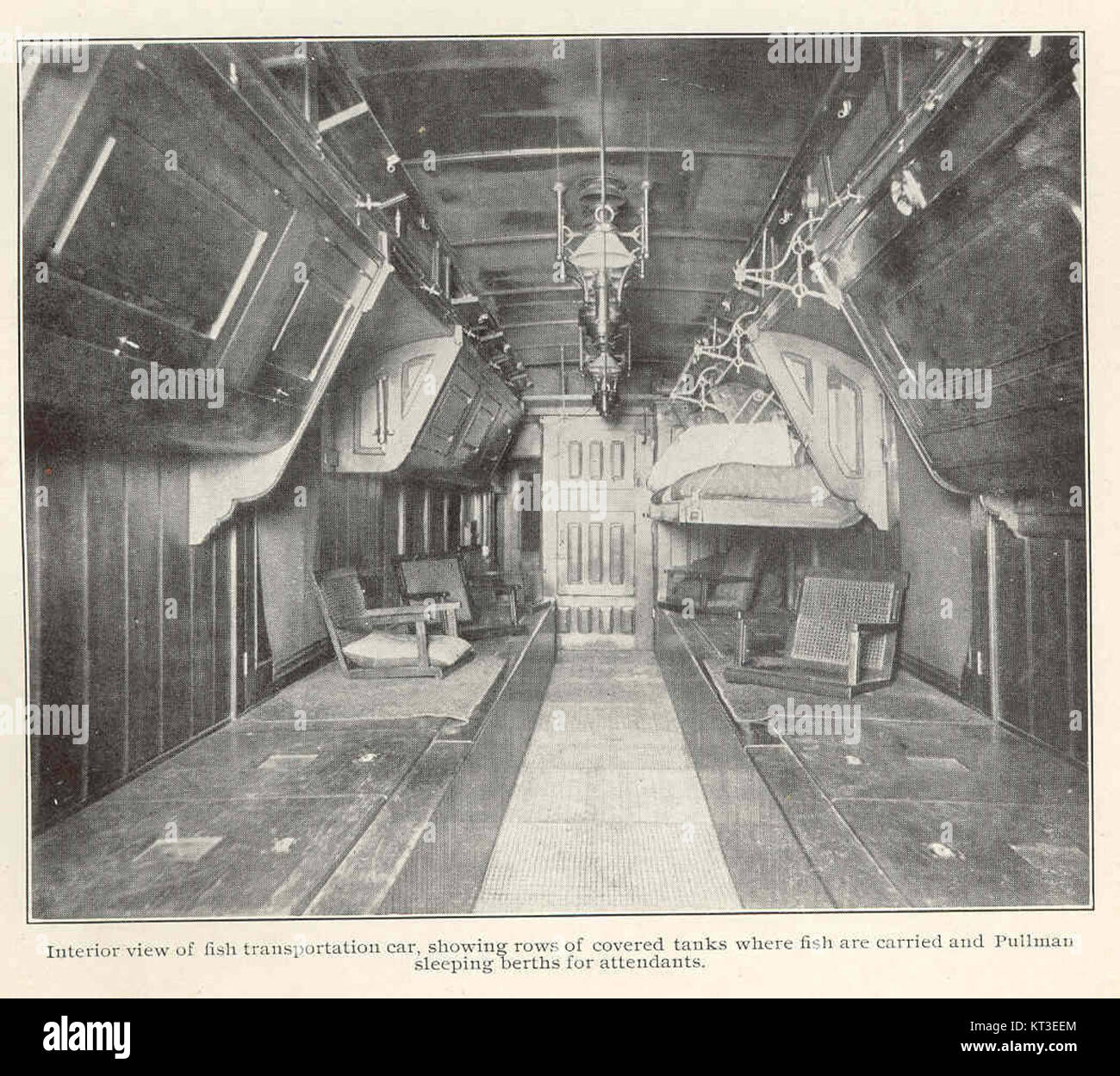 42343 Interior View Of Fish Transportation Car Showing Rows