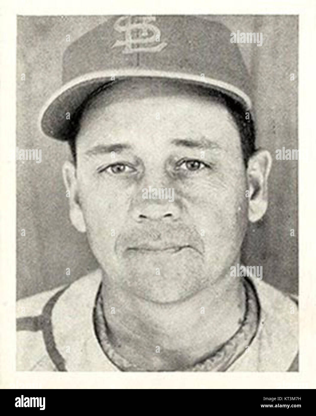 Gus Mancuso Cardinals Stock Photo Alamy