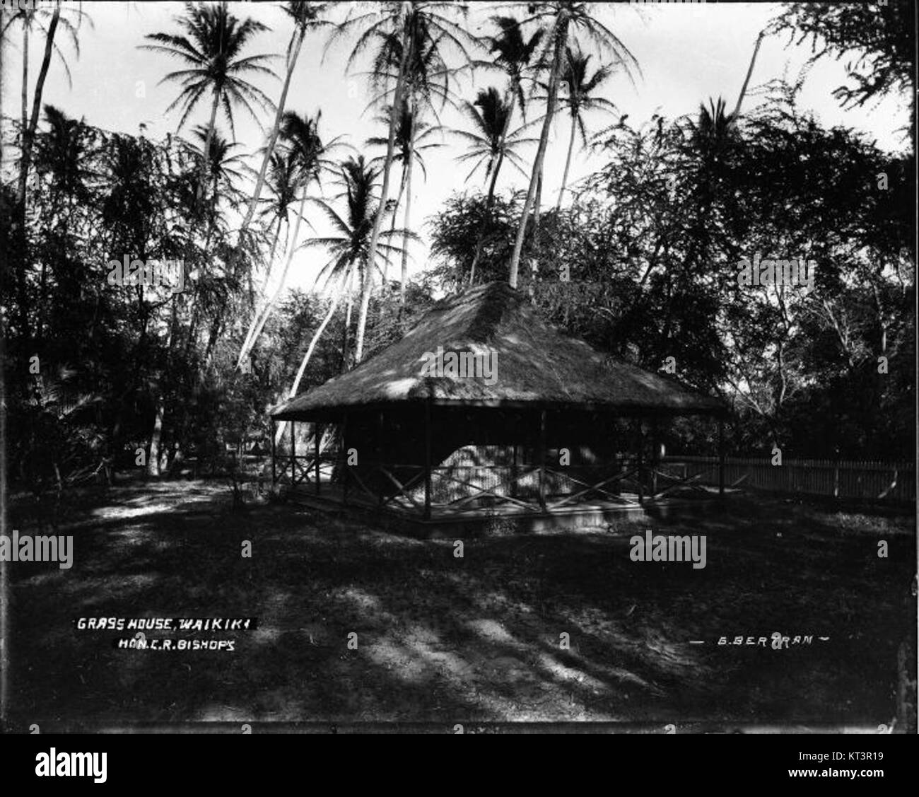 Hon. C.R. Grass House Waikiki (2) photograph by Brother