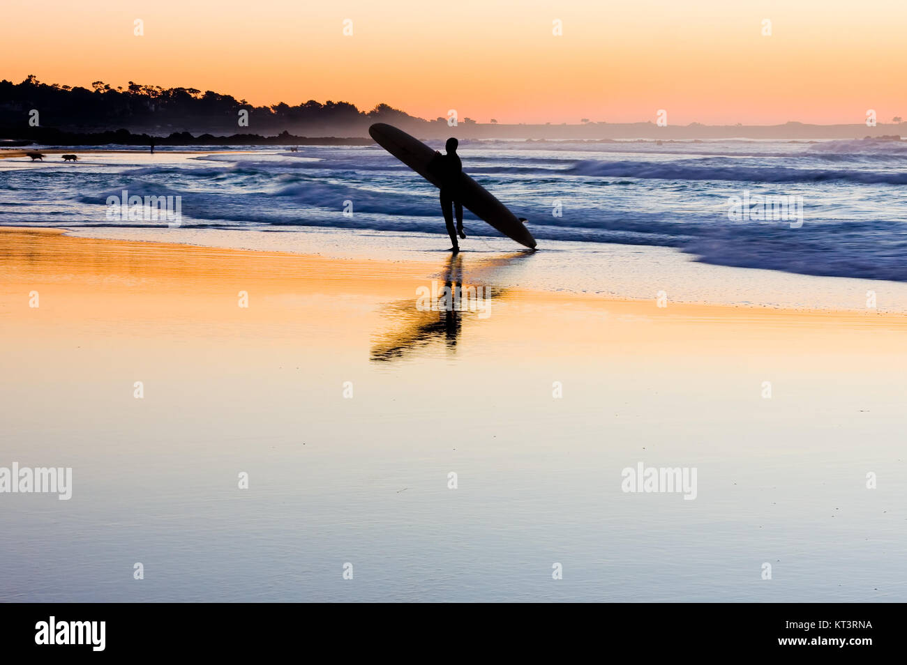 Silhouette of surfer at sunset Stock Photo - Alamy