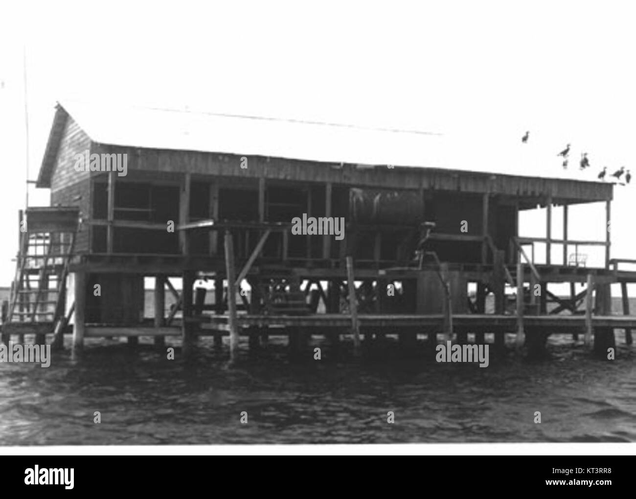 Iconic old black and white photos. - Picture of Kirby Ice House