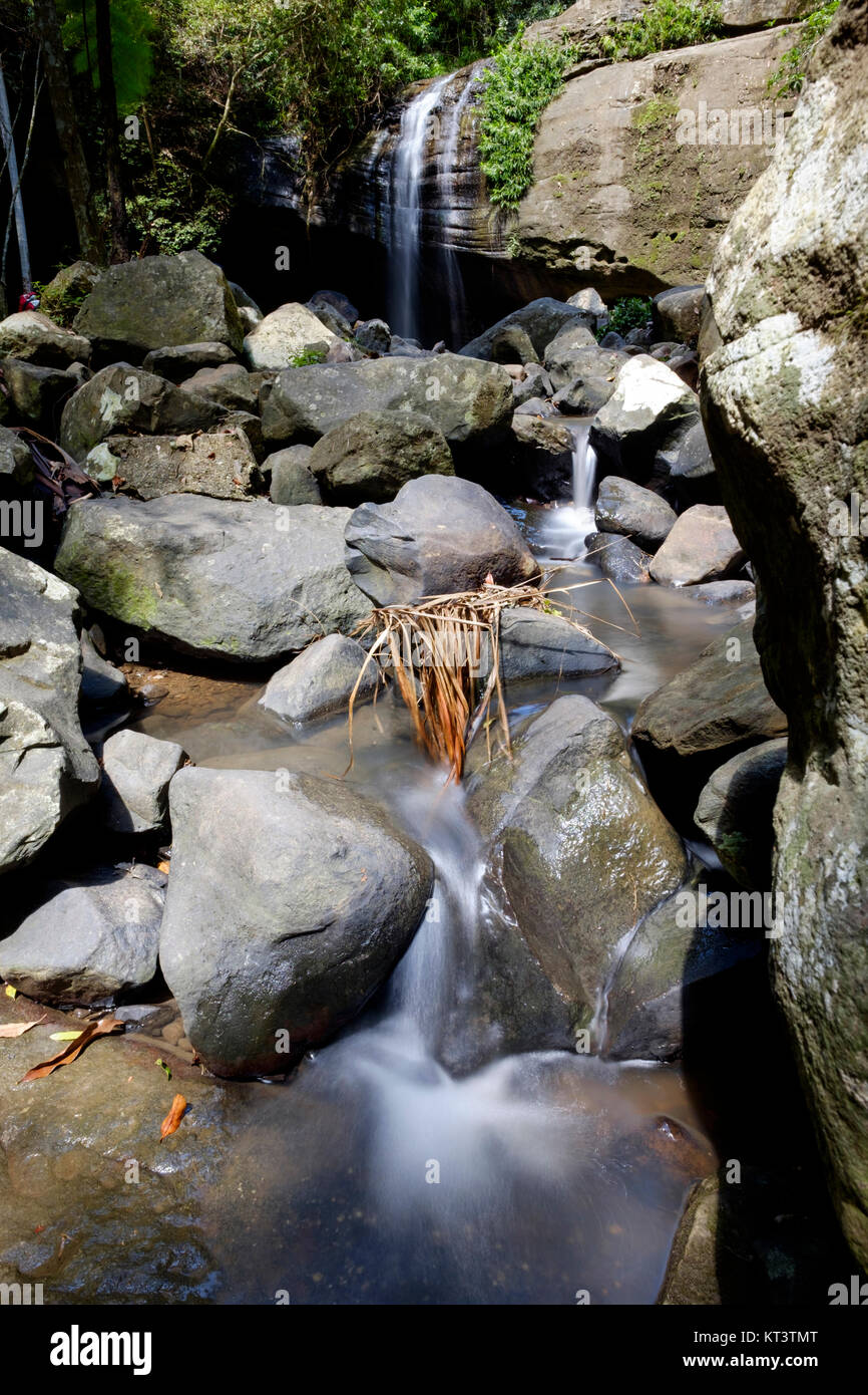 Serenity Falls Buderim Forest Park Stock Photos Serenity Falls