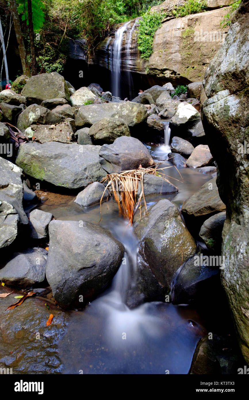 Serenity Falls At Buderim Forest Park Stock Photo 169730459 Alamy