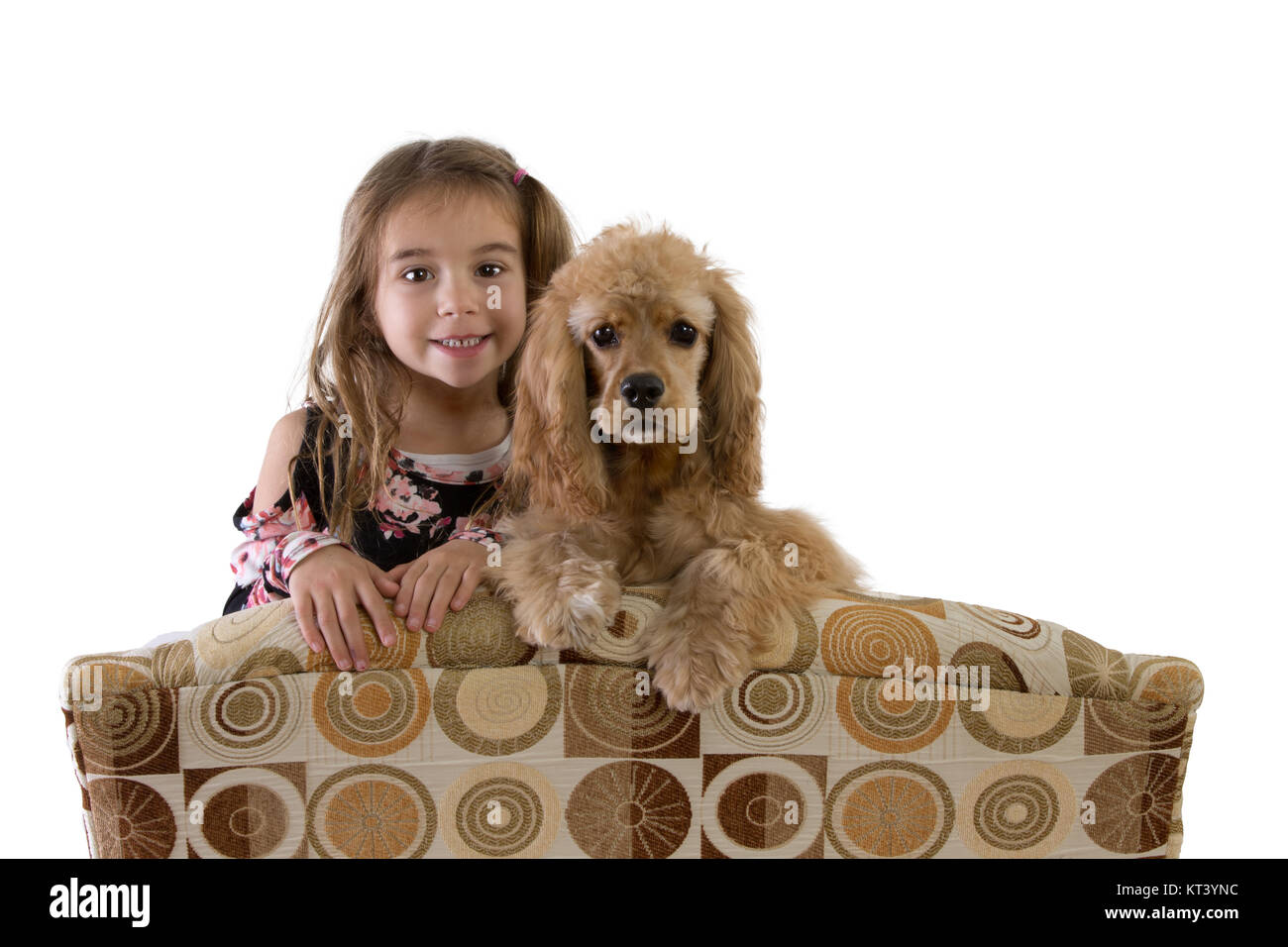 Young girl and golden cocker spaniel puppy on an armchair peering over the back at the camera side by side with a happy smile Stock Photo