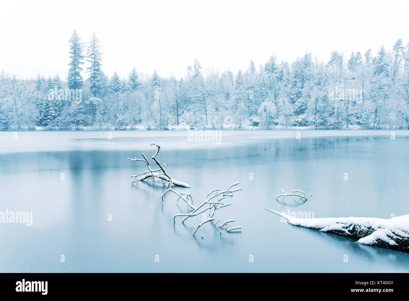 Frozen lake in snowy forest. Black forest, Germany Stock Photo - Alamy