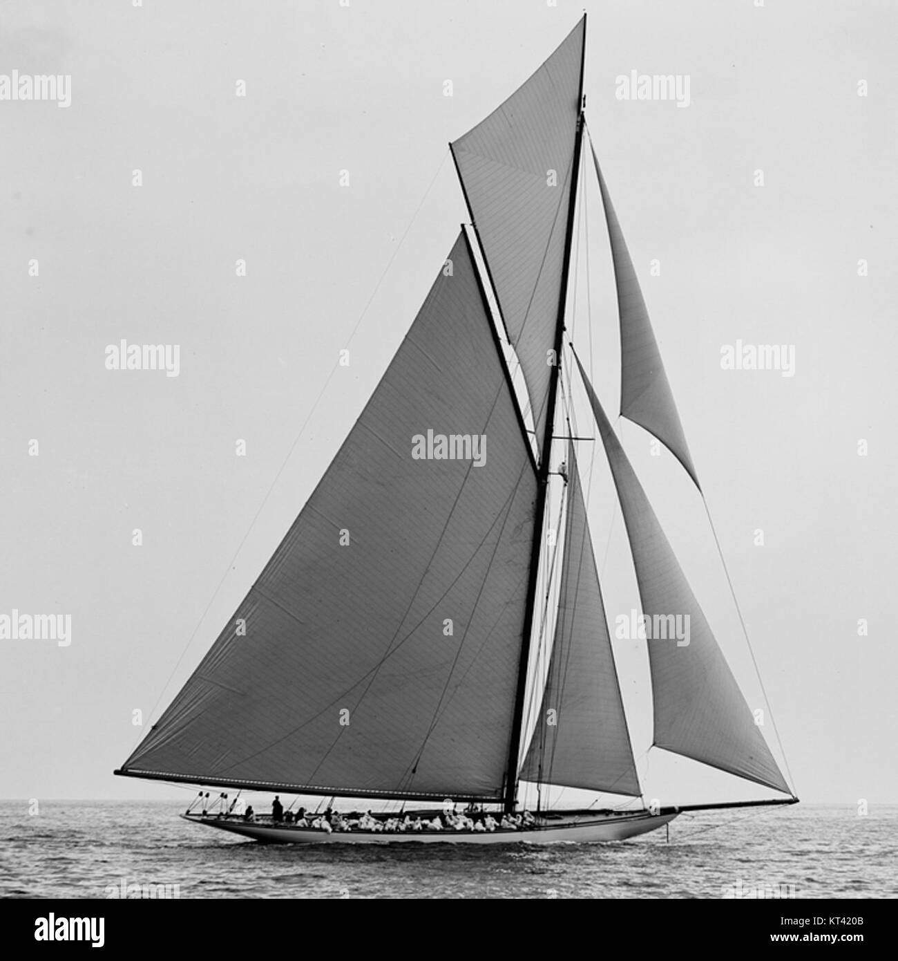 Shamrock iii Black and White Stock Photos & Images Alamy