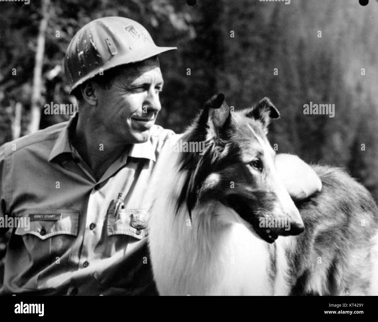 This photograph features Lassie, the famous Rough Collie dog, with ...