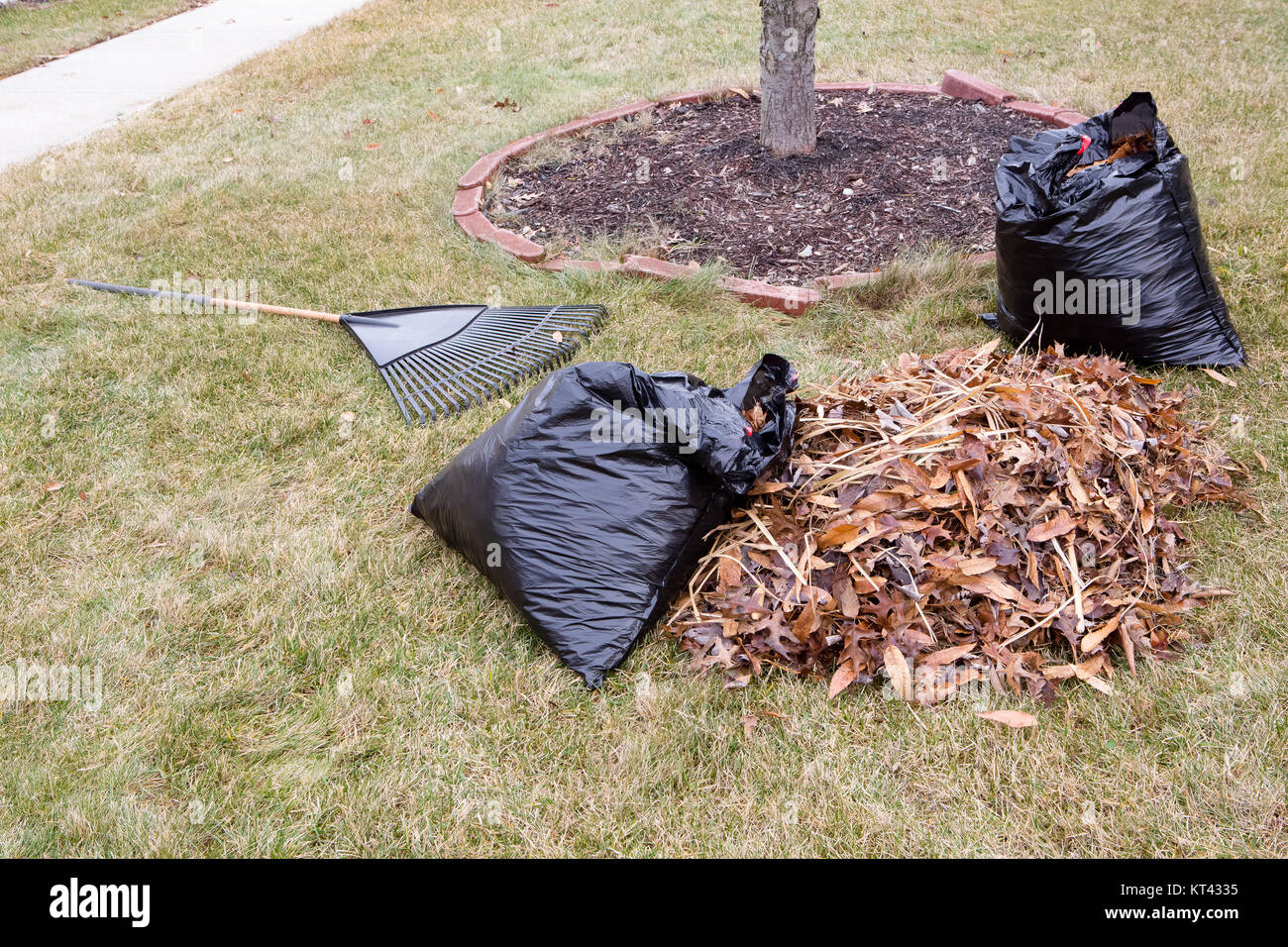 Raked pile of dried autumn leaves in a garden alongside black plastic ...