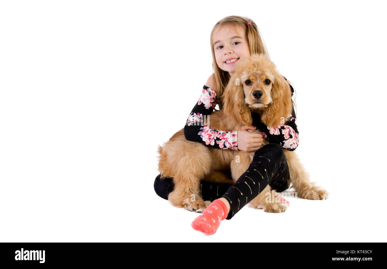 Cute young girl hugging her small golden cocker spaniel puppy as it sits on her lap isolated on white with copy space Stock Photo