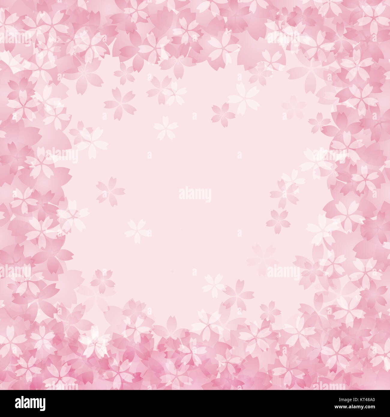 Cherry blossom background image Stock Photo